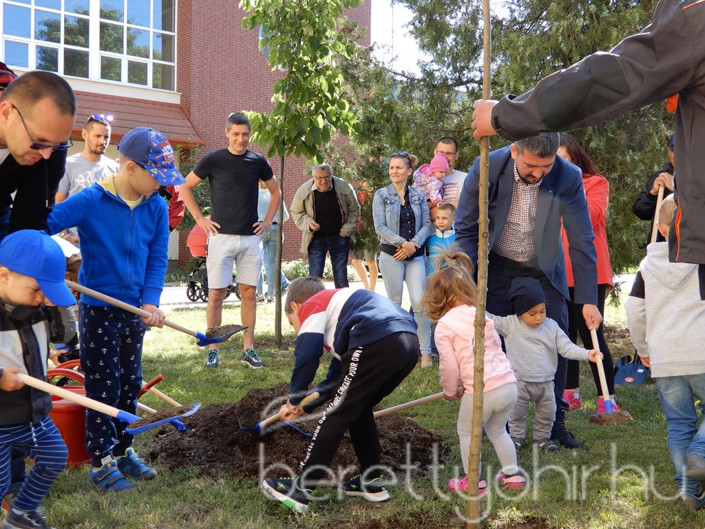 Életfa ültetés a város napján 31